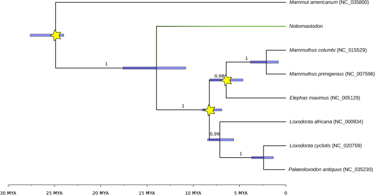 Figure 3