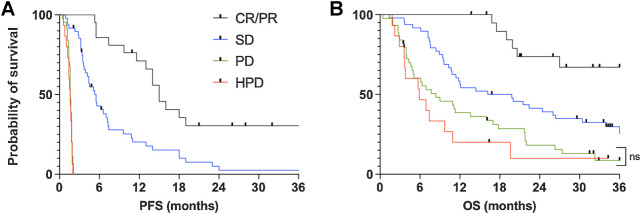 Figure 2. Outcomes of patients stratified by best response. Kaplan–Meier curves show PFS (A) and OS (B) after the first dose of the study drug. ns, not statistically significant.