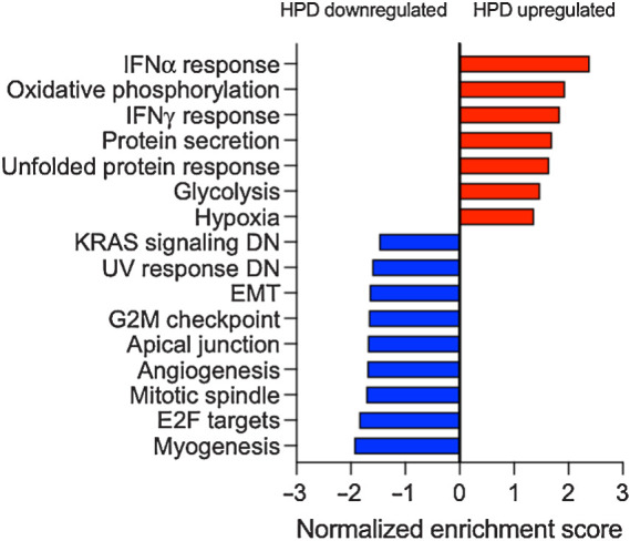 Figure 6. GSEA of pathways associated with HPD as compared with PD. RNA-seq was performed on baseline tumor biopsies. Bars are a summary of results from GSEA plots with the gene set names from Hallmark pathways and the normalized enrichment score. Positive enrichment score represents pathways that were correlated with HPD while negative enrichment score represents those that were correlated with PD. All gene sets shown had an adjusted P value < 0.05. IFN, interferon.