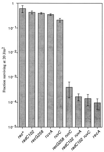 FIG. 1