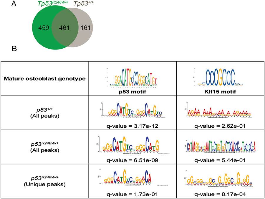 Figure 6: