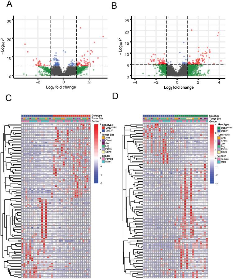 Figure 2: