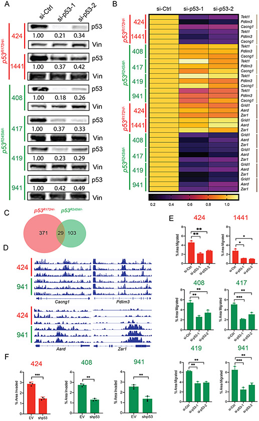 Figure 4: