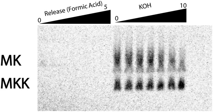 Figure 6—figure supplement 2.