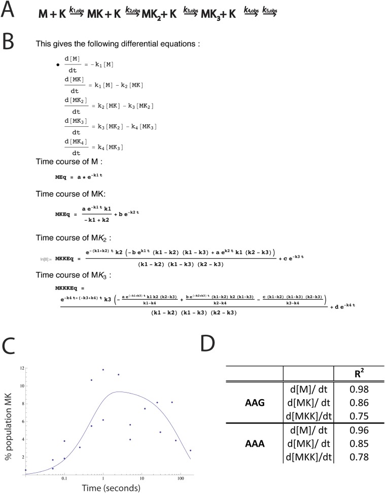 Figure 2—figure supplement 2.