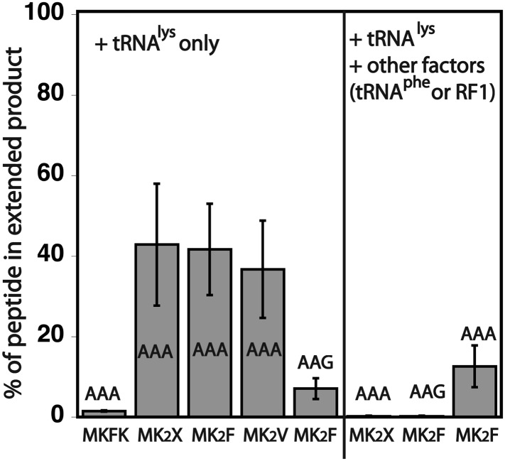 Figure 3—figure supplement 2.