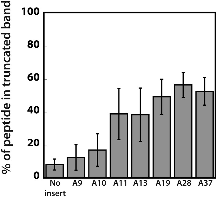 Figure 5—figure supplement 1.