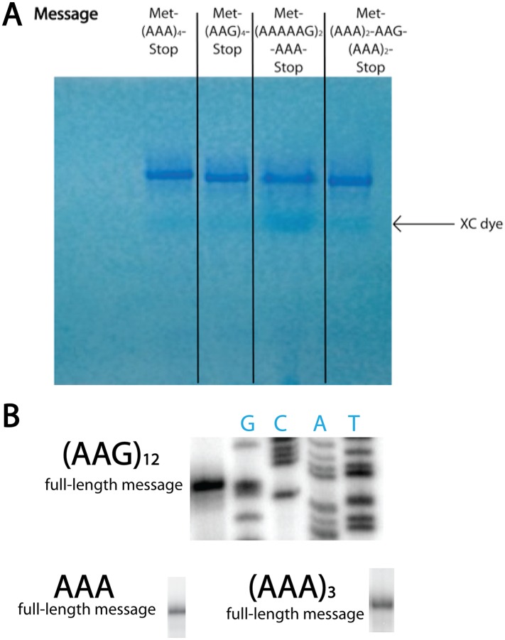 Figure 3—figure supplement 3.