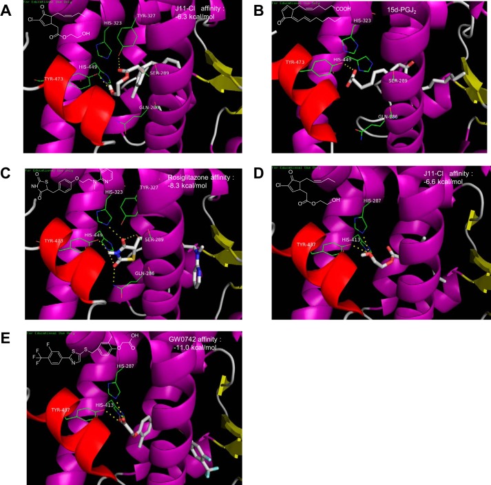 FIGURE 1.