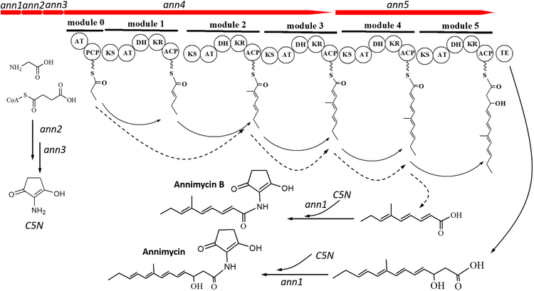 Figure 5.