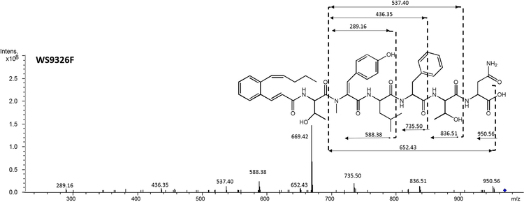 Figure 2.