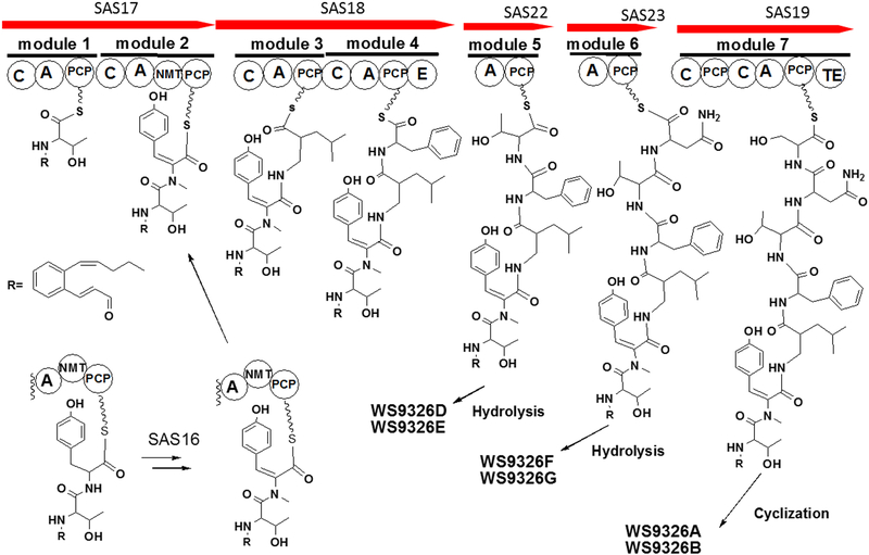 Figure 3.