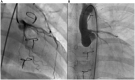 Figure 6: