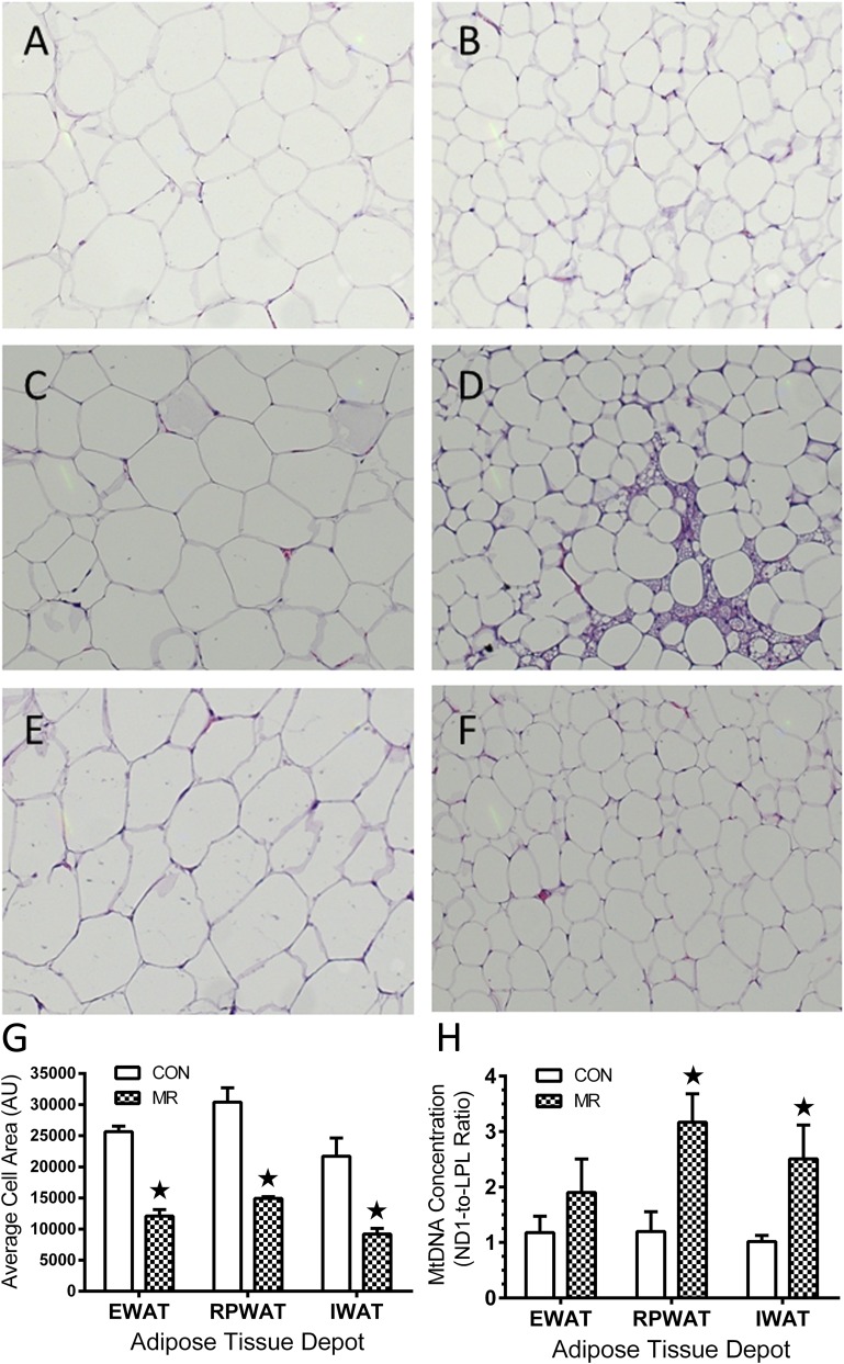 FIG. 6.