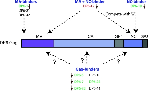 FIG. 6.