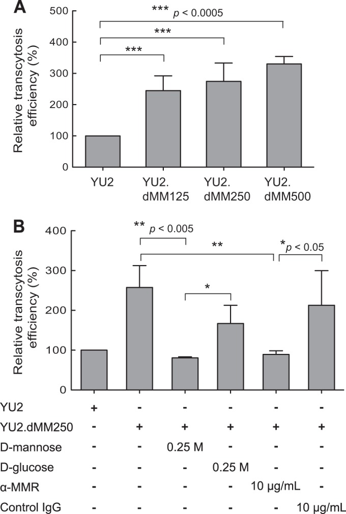 FIG 3