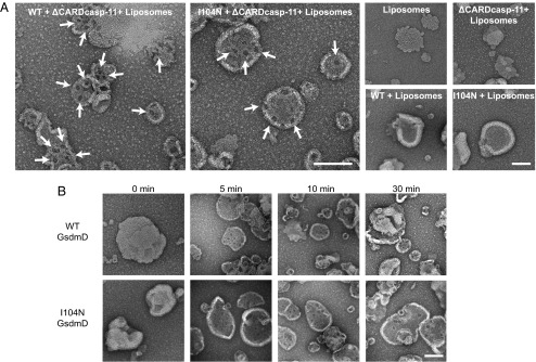 Fig. 4.