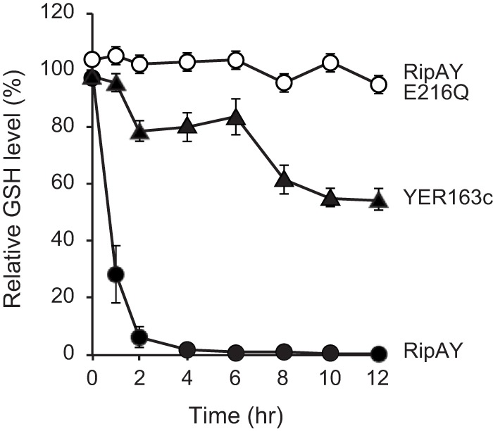 FIG 2 