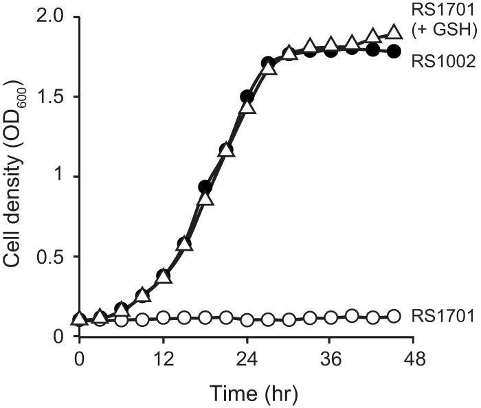 FIG 8 