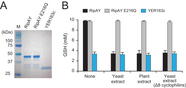 FIG 3 