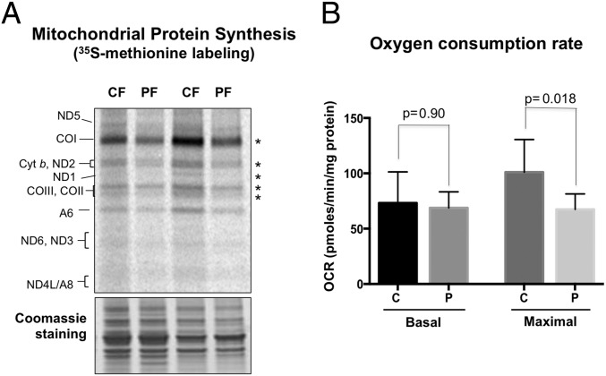 Fig. 9.