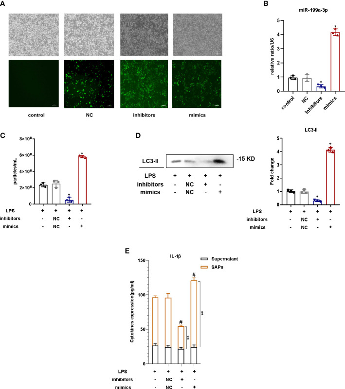 Figure 4