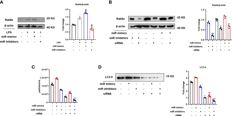 Figure 5