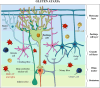Graphical Abstract