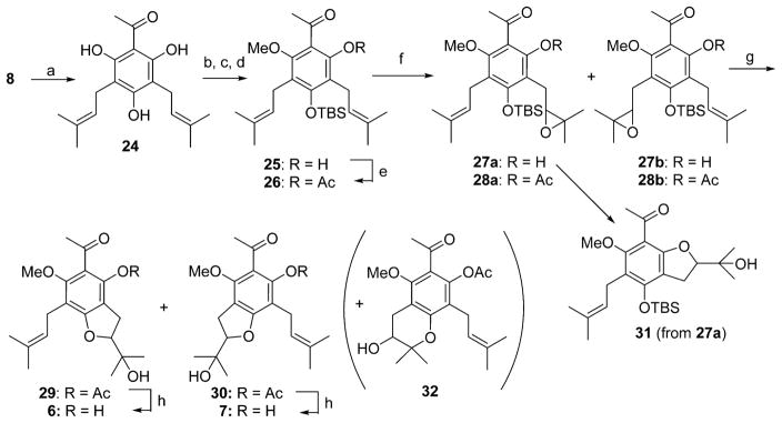 Scheme 2