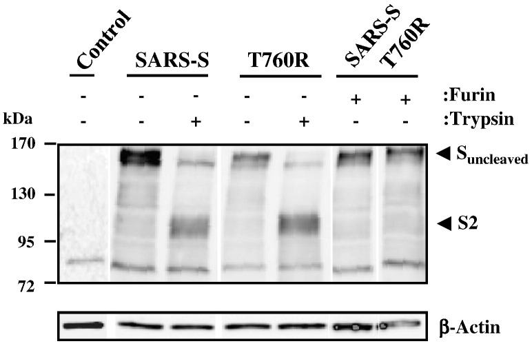 Fig. 7