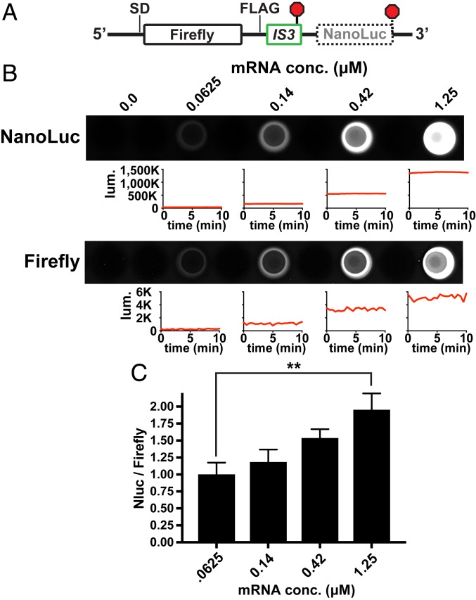 Fig. 3.