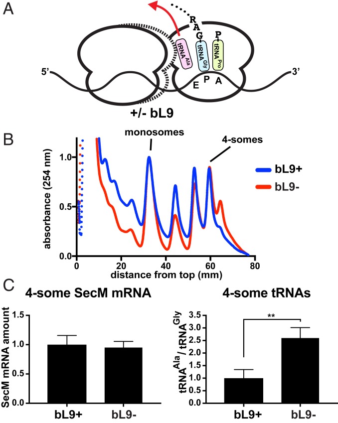 Fig. 6.