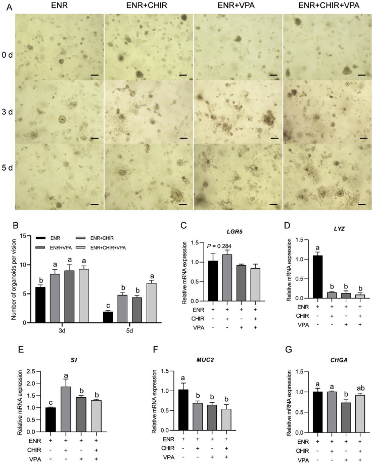 Fig. 3