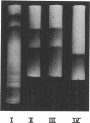 257