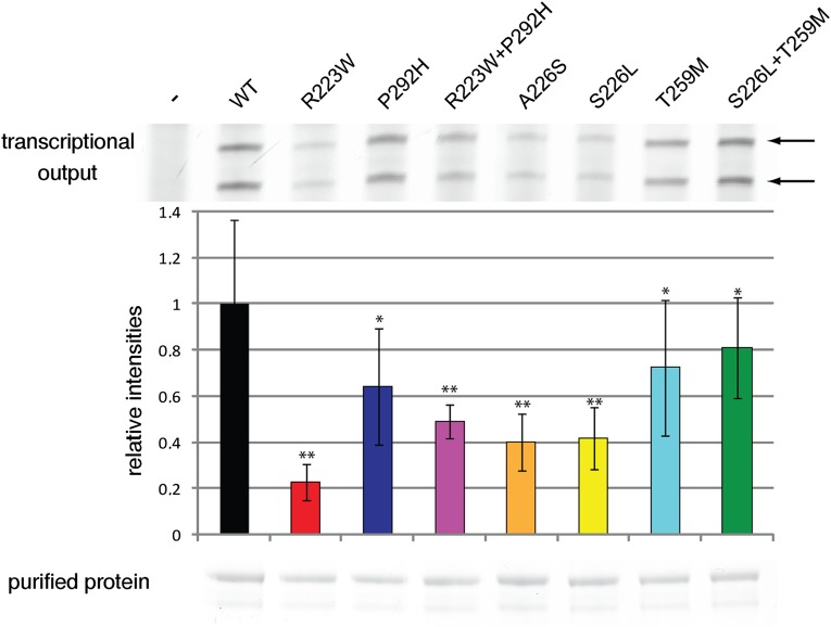 Figure 4.