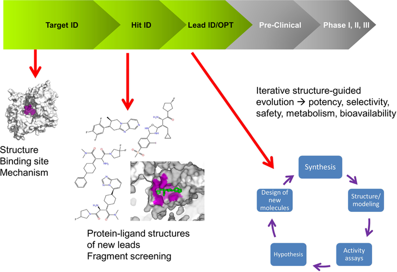 Figure 1: