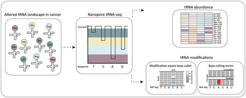 Graphical Abstract