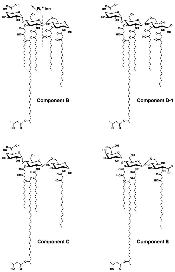 Fig. 10