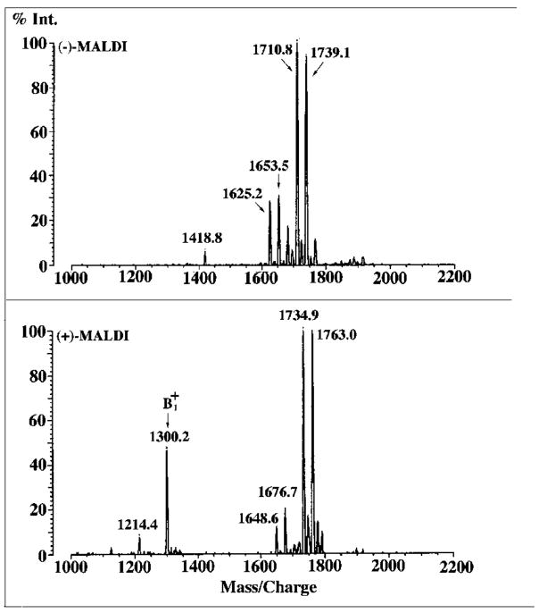 Fig. 11