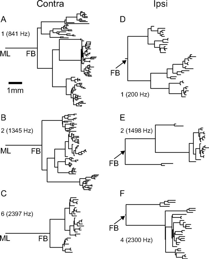 Figure 7.