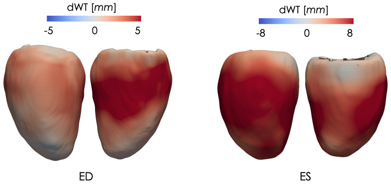 Fig. 5