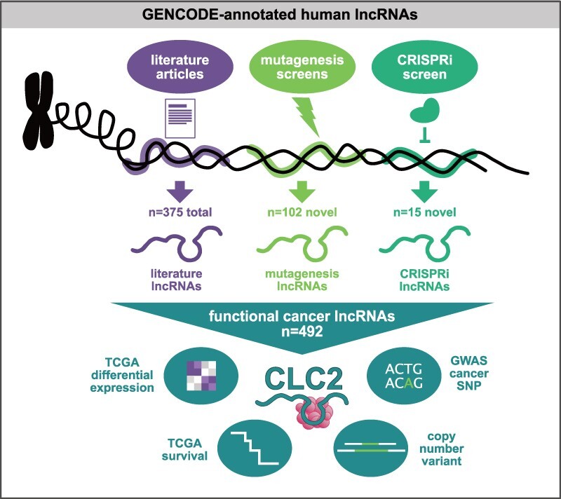 Graphical Abstract