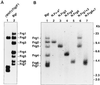 FIG. 1