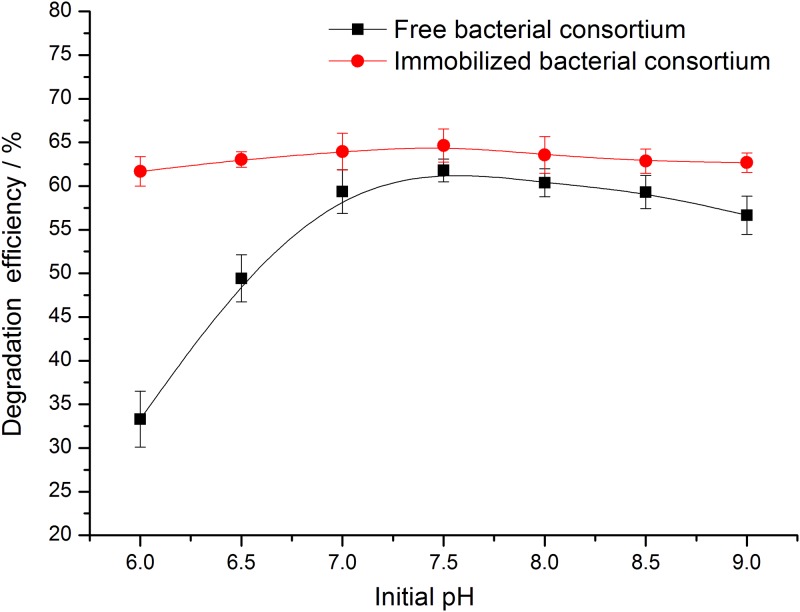 Fig 5