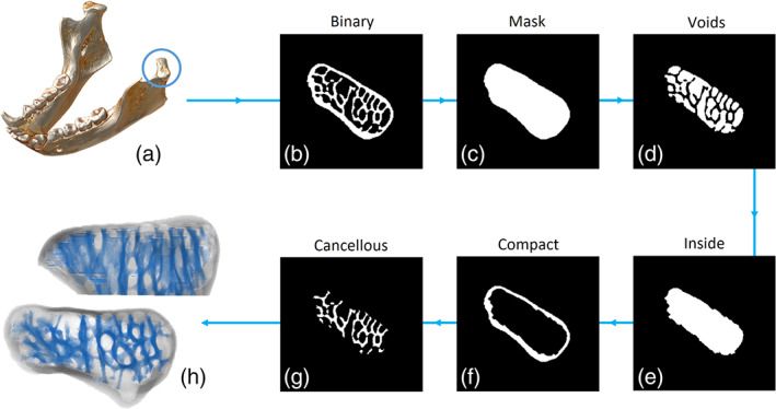 FIGURE 2