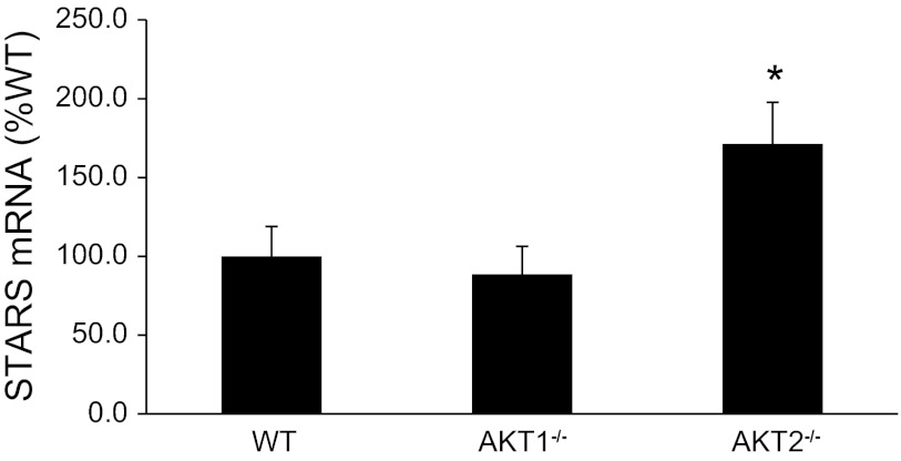 Fig. 9.