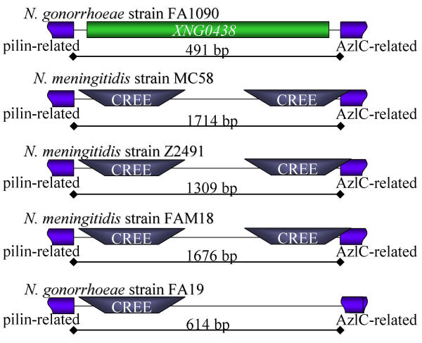 Figure 5