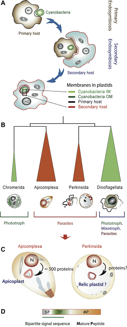 Fig. 2.