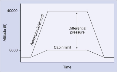 Fig. 47.2