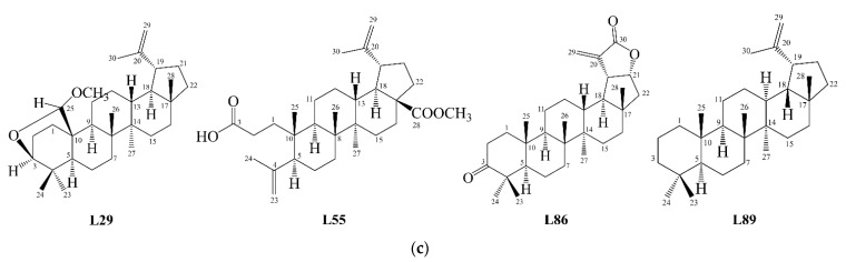 Figure 8